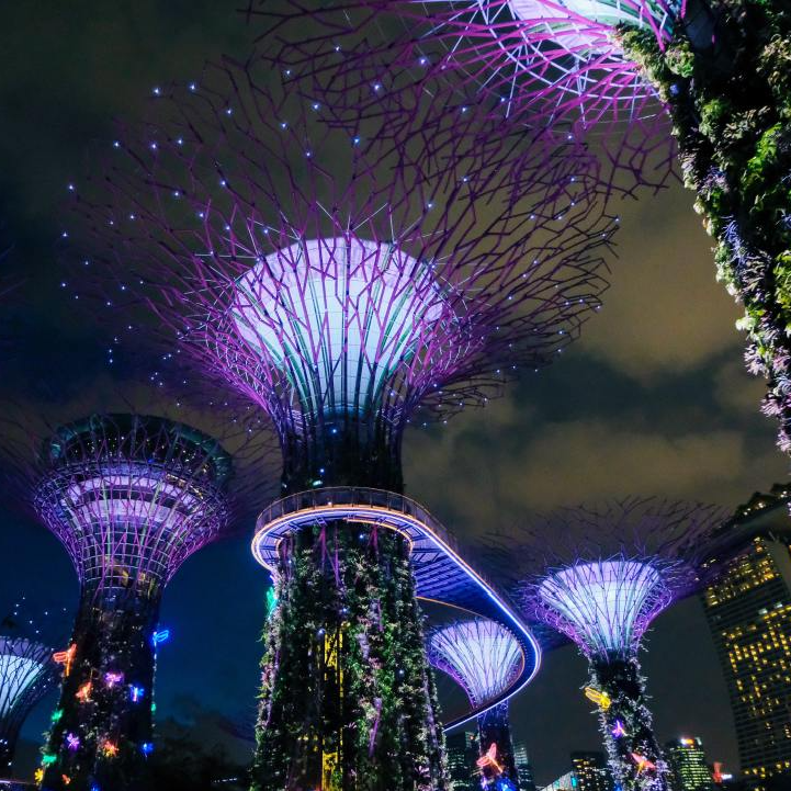 滨海湾花园 (2).jpg