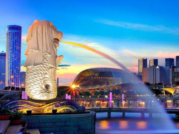 新加坡财政年度的基本概念